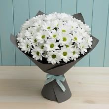 Букет цветов из:  Хризантемы в Мортке