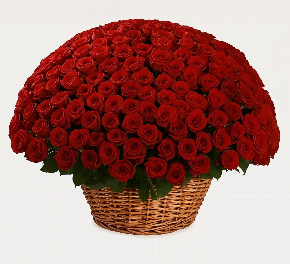 Премиум букет из: Розы в Мортке