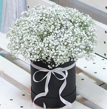 Цветочная композиция из Гипсофила в шляпной коробке #REPLACE_PRED# Мортке