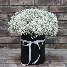 Цветочная композиция из Гипсофила в шляпной коробке #REPLACE_PRED# Мортке